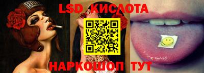 стафф Камышлов